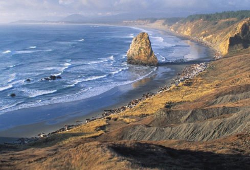 1764861041719669.png image.png