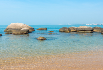 ​世界粮食日宣传标语口号