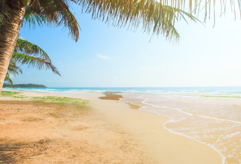 1764861540390218.png image.png