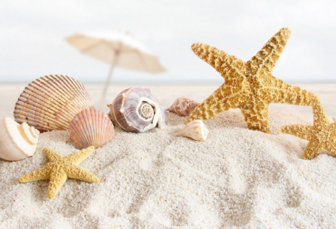 1764861873822508.png image.png