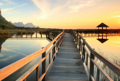 ​海参宣传口号84句