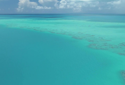 ​2025植树节标语口号横幅大全