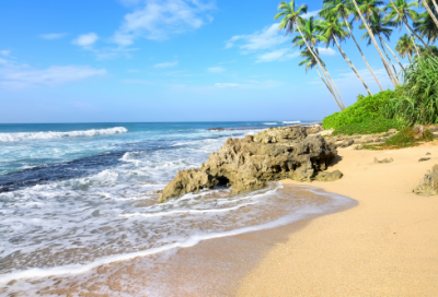 ​标语八字96句