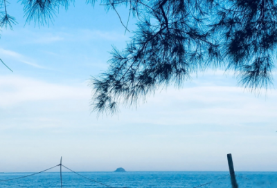 ​双十一口号搞笑嚣张的标语(双十一吸引人的广告语)