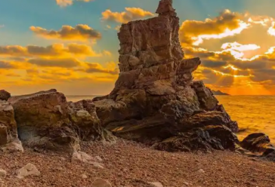 ​海洋馆口号68句