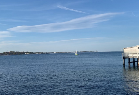 1764867196683526.png image.png