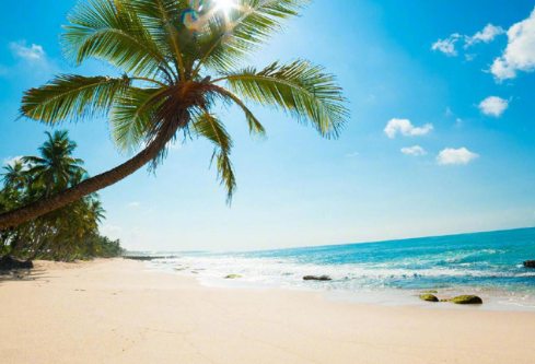 1764867861210752.png image.png