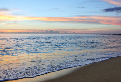 1764868859446464.png image.png