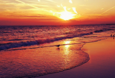 ​裤子口号83句