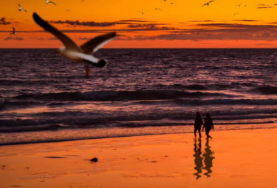 ​家具口号大全集85句