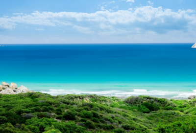 ​口腔的口号82句