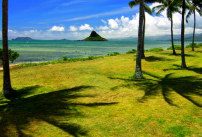 ​迎新年标语条幅 2025脱贫攻坚接地气标语横幅