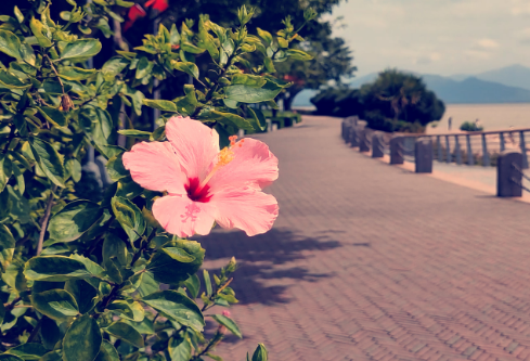 1764874517915412.png image.png