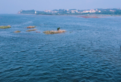 ​适合发朋友圈的励志标语