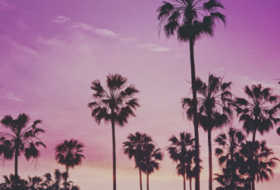 ​比赛加油的口号大全86句