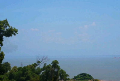 ​光盘行动厉行节约标语口号2025最新