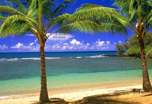 1764911369433798.png image.png