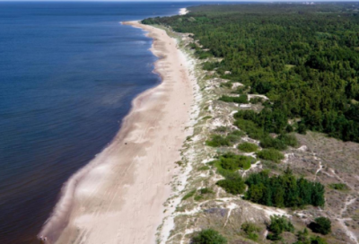 ​精选的创先争优活动标语大全(美的创先争优标语)