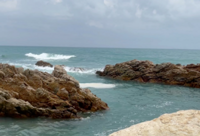 ​坚果口号85句