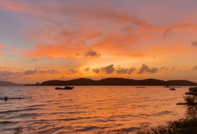 ​大便标语75句