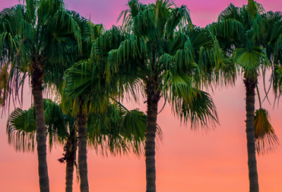 ​2025餐饮杜绝浪费标语口号