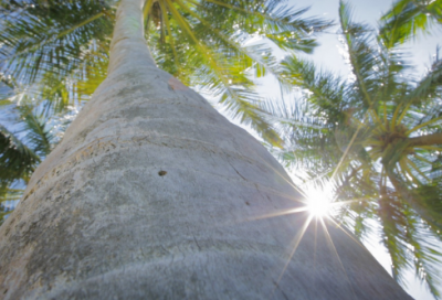 ​红酒公司的宣传口号86句