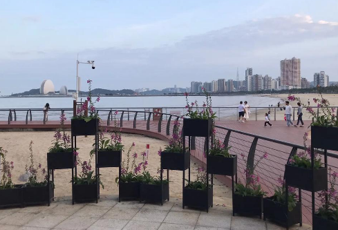 1764920504898140.png image.png