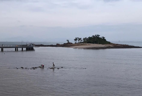 1764920670992861.png image.png