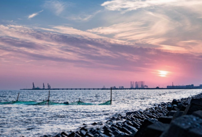 ​2025餐饮光盘行动标语口号最新大全