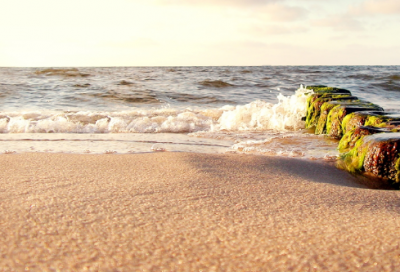 ​班级口号文艺 班级口号文艺16字