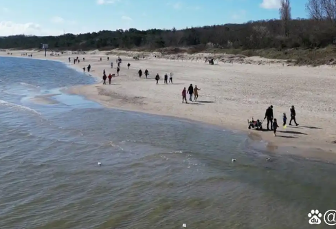 1764925662249165.png image.png