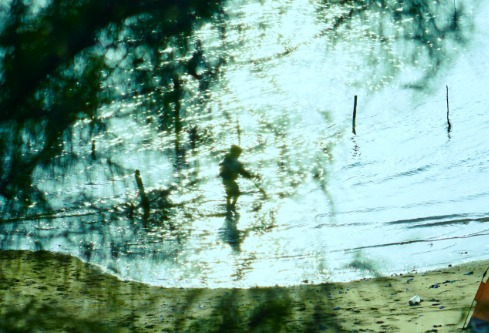 1764927492504642.png image.png