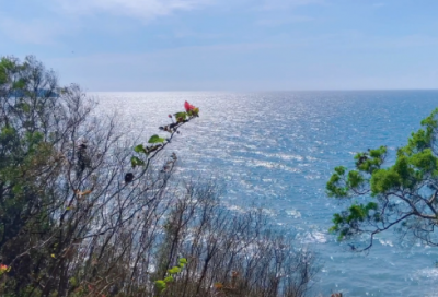 ​2025双十一销售团队口号励志的口号