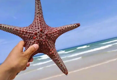 ​唱歌比赛宣传口号81句