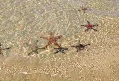 ​质量安全口号标语 企业安全口号标语大全