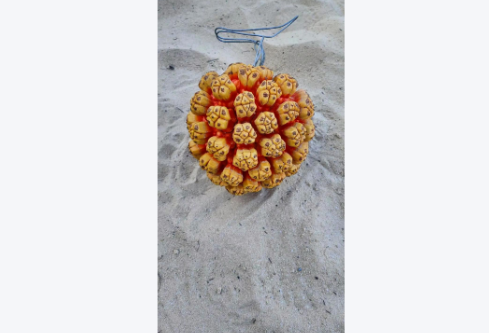 1764930483918747.png image.png