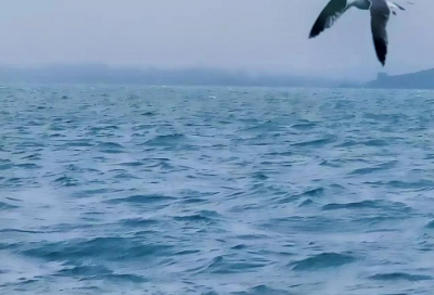 ​关于唱歌口号大全82句