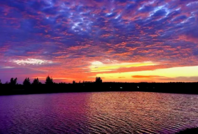 ​全国粮食安全宣传周口号横幅