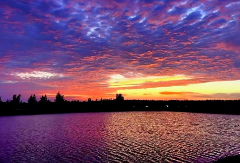 1764930981347880.png image.png