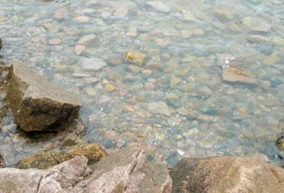 ​创建全国文明城市标语