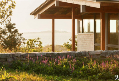 ​2025植树节经典口号简短