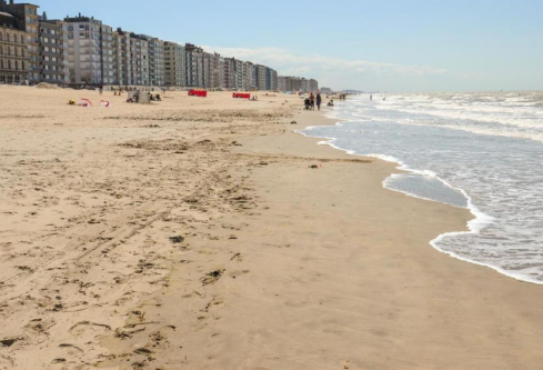 1764934972948149.png image.png