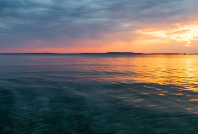 ​2025植树节标语口号横幅大全(防疫标语口号接地气)