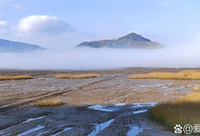 ​网络安全宣传标语