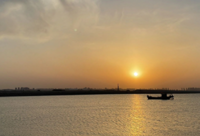 ​辣椒口号71句