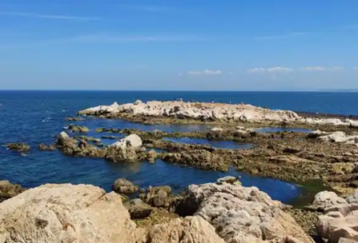 ​新型冠状性肺炎防控标语 新冠肺炎防控标语