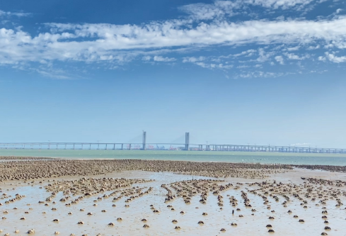 1764944440506105.png image.png