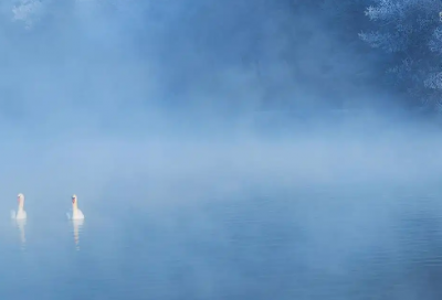 ​美容院感恩节朋友圈的微信文案