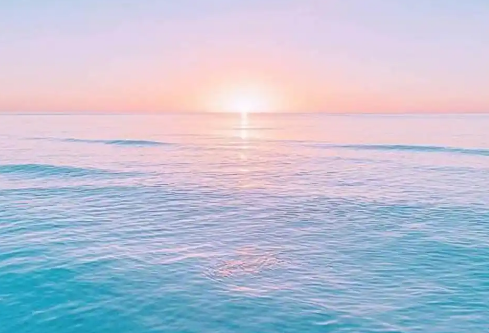 1767523055278966.png image.png