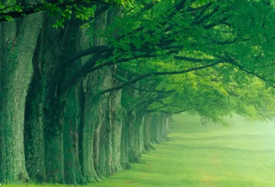 ​发朋友圈的下雪幽默句子